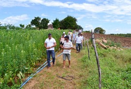 governo investe em algodao agroecologico (3)