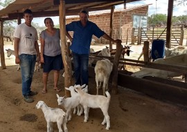 sedh monitoramento do programa do leite na paraiba (3)