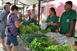 DSC 0013 270x179 - Agricultores de Catingueira recebem mudas de caju, raquetes de palma e alevinos