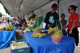 DSC 1751 270x179 - Produção de uva no Sertão foi sensação na abertura da feira do agricultor em Santa Inês