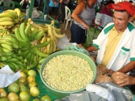 Feija verde