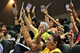 RicardoPuppe Saude da Mulher uuw 270x180 - Conferência Estadual de Saúde da Mulher elege delegados para etapa nacional