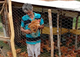 agricultores de alagamar assistidos pela emater criam frango caipira (1)