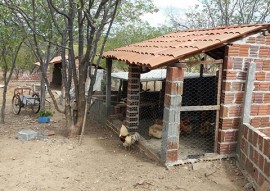 agricultores de alagamar assistidos pela emater criam frango caipira (2)