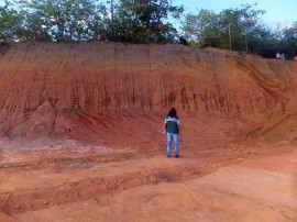 crimes contra meio ambiente balanço 3 270x202 - Sudema e Batalhão de Policiamento Ambiental fazem balanço do combate a crimes contra a flora