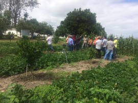 dia de campo emepa 14 07f 270x202 - Técnicas de plantio, adubagem e comercialização melhoram vida e renda de pequenos produtores de citros