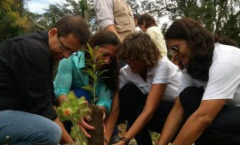 21124722 1931215633758061 1470277408 o 270x164 - PBGÁS participa de projeto de reflorestamento do Parque do Xém-Xém