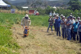 DSC0096 270x179 - Governo participa da implantação de ações do Plano ABC no dia de Campo em Alagoinha