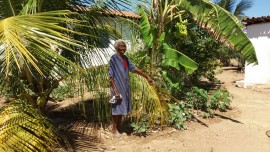 Idosa Pitombeira.7 270x152 - Agricultora de 92 anos assistida pela Emater e Emepa cultiva hortaliças no Quilombola Pitombeira