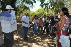 dia de campo1 270x179 - Agricultores conhecem tecnologias em agroecologia e convivência com a estiagem em Dia de Campo