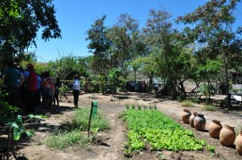 dia de campo2 270x179 - Agricultores conhecem tecnologias em agroecologia e convivência com a estiagem em Dia de Campo