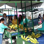 emater feira do produtor rural (1)