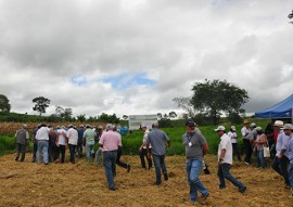 emepa emater tecnologia para agricultores para emissao de baixo carbono 4 270x191 - Emepa e Emater levam aos agricultores tecnologia para contribuir na emissão de baixo carbono