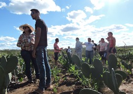 fundo internacional de desenvolvimento da agricultura visita procase 1 270x191 - Técnicos do Fundo Internacional de Desenvolvimento Agrícola visitam as ações do Procase