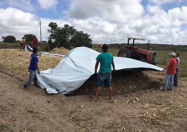 emater criadores do brejo adotam sistema de silagem para armazenamento de forragem 1 270x191 - Emater incentiva criadores do Brejo a adotarem sistema de silagem