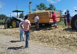 emater criadores do brejo adotam sistema de silagem para armazenamento de forragem 5 270x191 - Emater incentiva criadores do Brejo a adotarem sistema de silagem