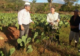 pesquisa e extensao se unem para cultivo de umbu 1 270x191 - Pesquisa e extensão se unem para incentivar cultivo de umbu na Paraíba