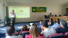 umbu2 270x151 - Entidades discutem cultivo do umbu e Emepa apresenta pesquisas de melhoramento genético