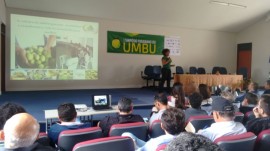 umbu4