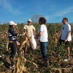 workshop de cultivo do algodao colorido (5)