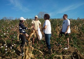 workshop de cultivo do algodao colorido (5)