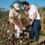 workshop de cultivo do algodao colorido (6)