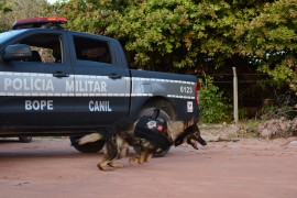 FOTO WAGNER VARELA 270x180 - Polícia vai utilizar cães farejadores nas operações de fim de ano na Paraíba