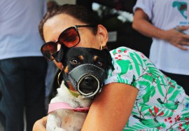 RicardoPuppe Dia D Vacina Raiva 1 270x187 - Cachorros e gatos são vacinados contra a raiva animal em toda a Paraíba