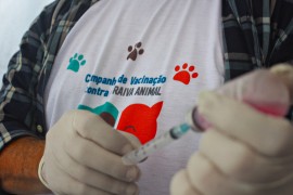 RicardoPuppe Dia D Vacina Raiva 4 270x180 - Cachorros e gatos são vacinados contra a raiva animal em toda a Paraíba