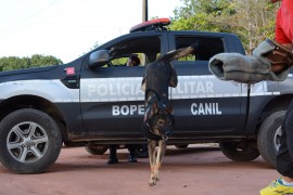 WAGNER VARELA SECOM 270x180 - Polícia vai utilizar cães farejadores nas operações de fim de ano na Paraíba