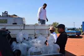 alevinos2 sape 270x180 - Prefeitura de Sapé e Emater distribuem alevinos com agricultores