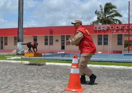 corpo de bombeiros adquire equipamentos para caes (4)