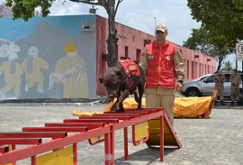 corpo de bombeiros adquire equipamentos para caes (5)