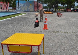 corpo de bombeiros adquire equipamentos para caes (7)