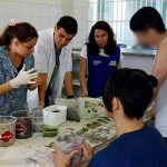 socioeducando aprendem a cultivar plantas em pequenos depositos (1)