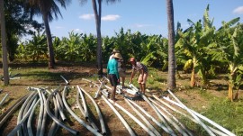 sousa2 17 10 270x151 - Produtor aboliu irrigação por inundação na cultura de banana