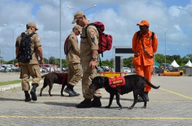 DSC 2944 270x178 - Corpo de Bombeiros da PB tem dois cães para atuação em ocorrências de buscas em território nacional