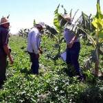 agricultores de Nazarezinho (1)