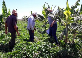 agricultores de Nazarezinho 1 270x191 - Jovem agricultor de Nazarezinho recebe apoio da Emater e compra imóvel rural com a produção de hortaliças