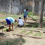 fundac professores da escola integral cidada ensinam o cultivo de horta organica (3)