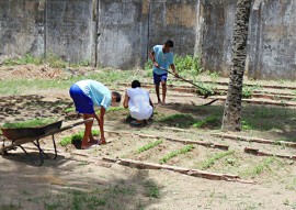 fundac professores da escola integral cidada ensinam o cultivo de horta organica 3 270x191 - Escola cidadã integral ensina cultivo de horta orgânica e tenta mudar hábitos em unidades socioeducativas