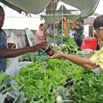 feira de agricultura familiar na saude foto RicardoPuppe (2)