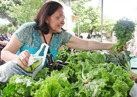 feira de agricultura familiar na saude foto RicardoPuppe 4 270x191 - Eco Paraíba realiza feira com produtos sem agrotóxicos e artesanato na sede da Saúde