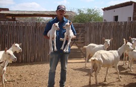 foto projeto sudene 2 270x172 - Pequenos produtores de nove municípios são contemplados com genética caprina da Emepa