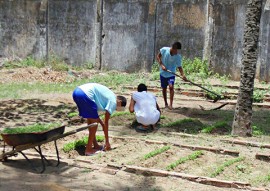 see professora de escola cidada integral da fundac conquista o premio mestre da educacao 5 270x191 - Professora da Escola Cidadã Integral da Fundac conquista prêmio Mestres da Educação com projeto sobre horta