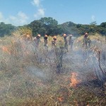 19.01.18 bombeiros (3) (1)