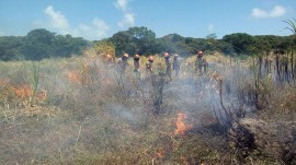 19.01.18 bombeiros 3 1 270x151 - Bombeiros realizam capacitação em combate a incêndios florestais