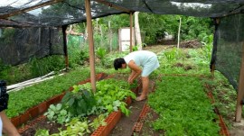 2 05 03 2018 270x151 - Mês da Mulher: Emater promove eventos em homenagem às agricultoras familiares