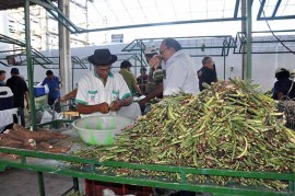 DSC 0749 270x179 - Emater antecipa funcionamento da Feira do Produtor Rural na Semana Santa