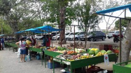 FEIRA 14 03 270x151 - Governo instala mais uma feira de agricultor familiar em Campina Grande